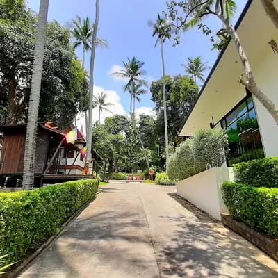 Alpha Gay Resort & Spa