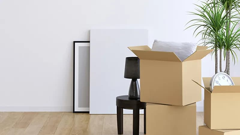 Expats In Wonderland GmbH - Move to Berlin Relocation Agency