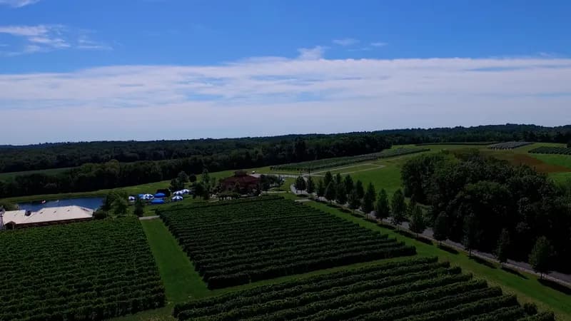 Shawnee Hills Wine Trail
