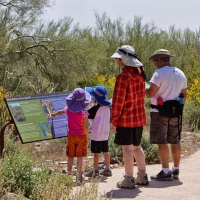 McDowell Sonoran Conservancy
