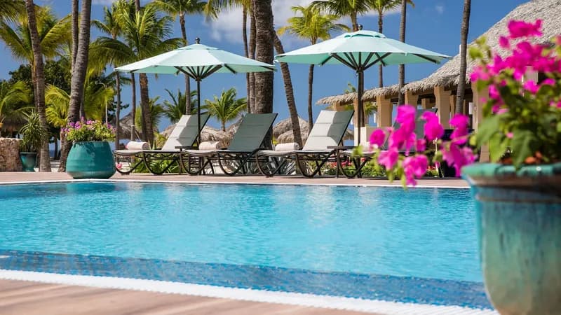 Manchebo Beach Resort And Spa