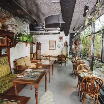 DoDo Café