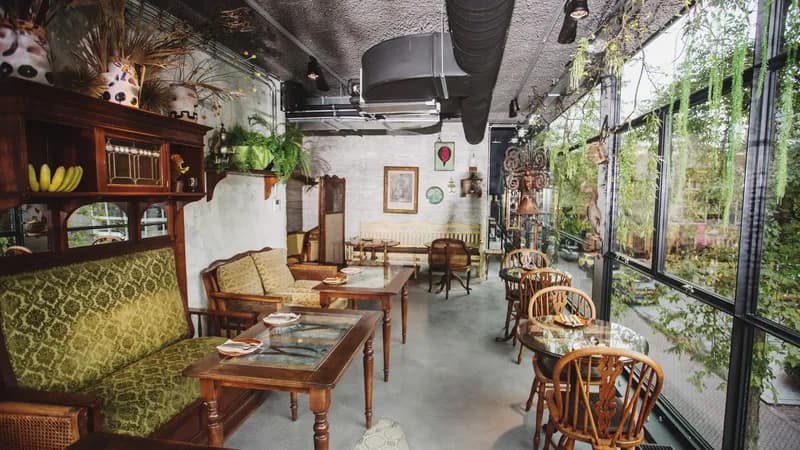 DoDo Café