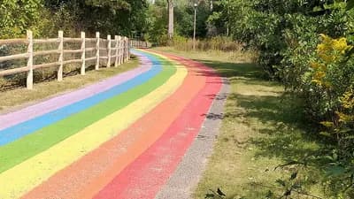 Gay Hot Spot: Toronto will Hanlan’s Point Beach schützen