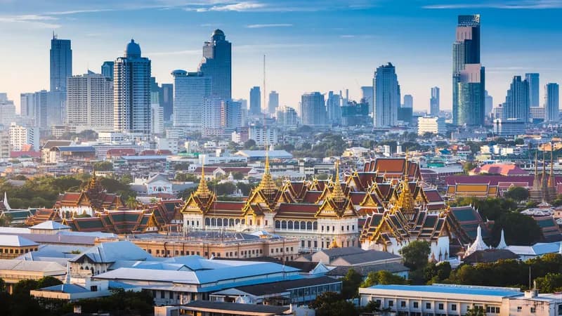 Bangkok-Café macht Ameisen zum Publikumsmagneten
