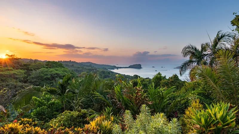Origins Lodge : Luxe durable dans la forêt tropicale costaricaine