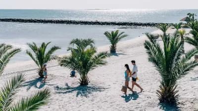Frederikshavn has restarted its palm beach