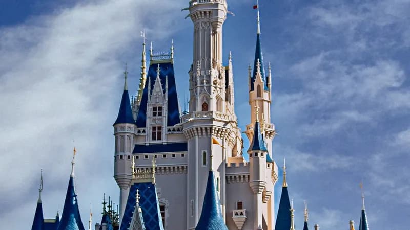 Disney's Contemporary Resort: LGBTQ+ Friendly Climate Confirmed as Industry Model