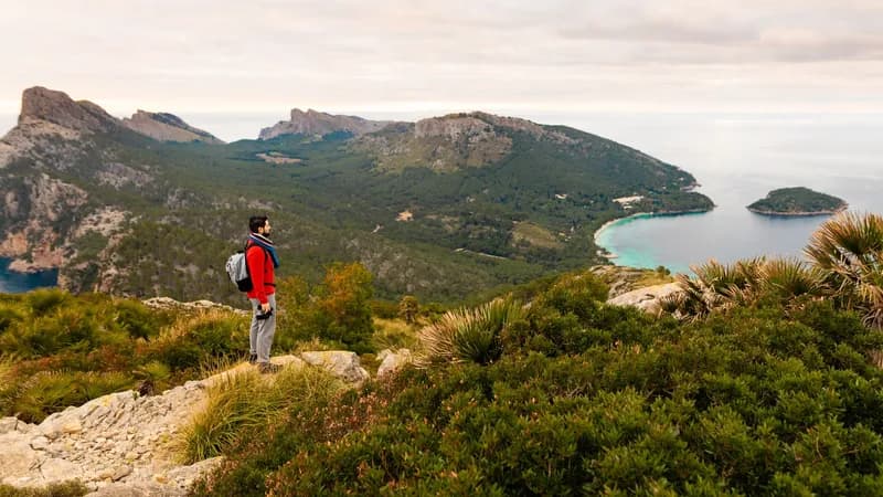 Mallorca bleibt im Herbst 2026 teuer