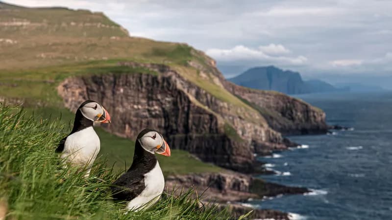 Las Islas Feroe imponen una tasa de sostenibilidad a los turistas.