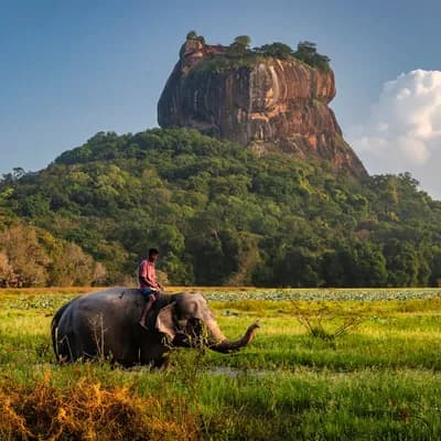 istock hadynyah jpg