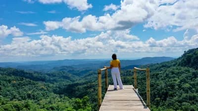 LGBTQ travel agency offers sustainable luxury trips in the Amazon