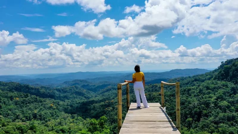 LGBTQ travel agency offers sustainable luxury trips in the Amazon