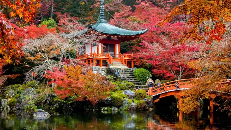 Les festivals d'automne en Asie : Tradition et technique dans l'échange international
