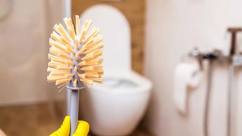 Hotels verzichten vermehrt auf Toilettenbürsten