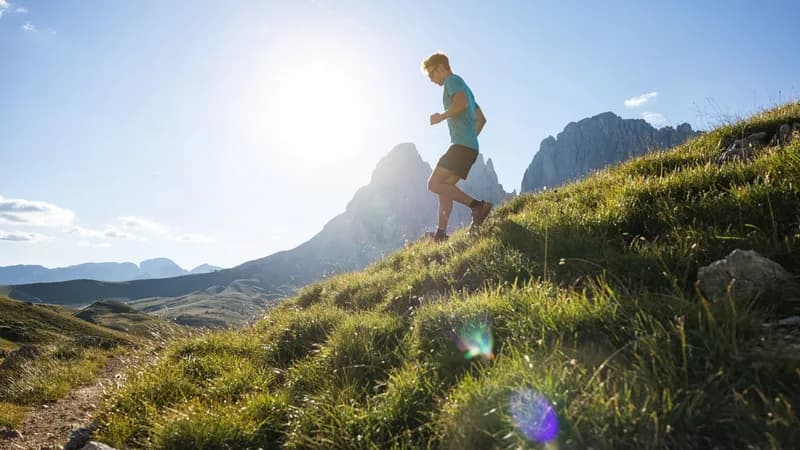 Runcation bookings reach record levels in Germany