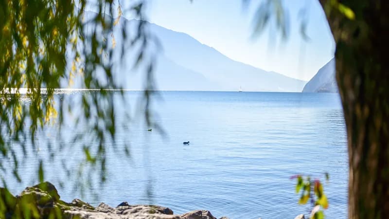 Corno Beach on Lake Garda: Erosion Requires Action