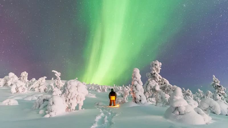 International Diversity: Elf Seasonal Job in Lapland Attracts Diverse Applicants.