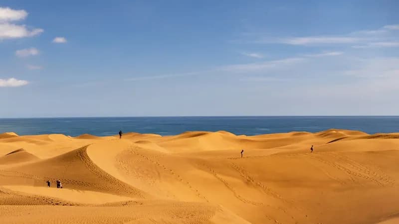Goldene Dünen von Maspalomas auf Gran Canaria mit dem Atlantik im Hintergrund