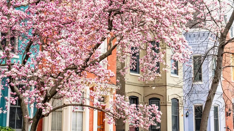 Washington, DC: LGBTIQ+-Community profitiert vom urbanen Kulturwandel